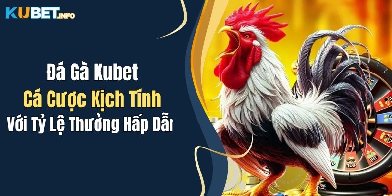 Đá Gà Kubet: Cá Cược Kịch Tính Với Tỷ Lệ Thưởng Hấp Dẫn 1 da ga kubet ca cuoc kich tinh voi ty le thuong hap dan